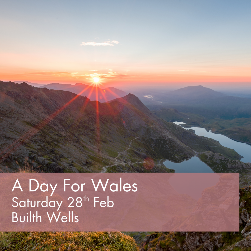 A Day for Wales - 28th Feb at Builth Wells